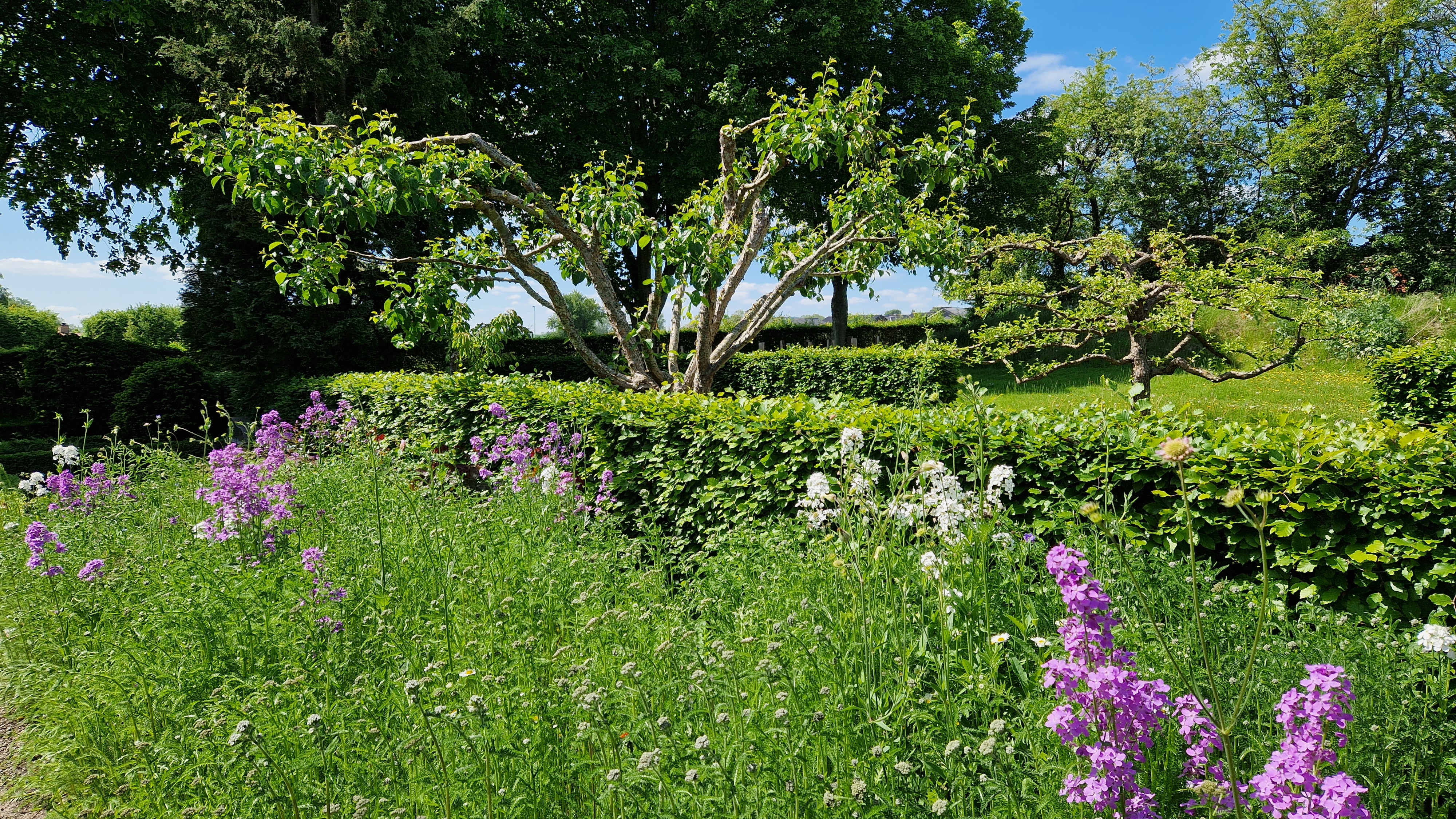 Annekskirkegården i Allerslev