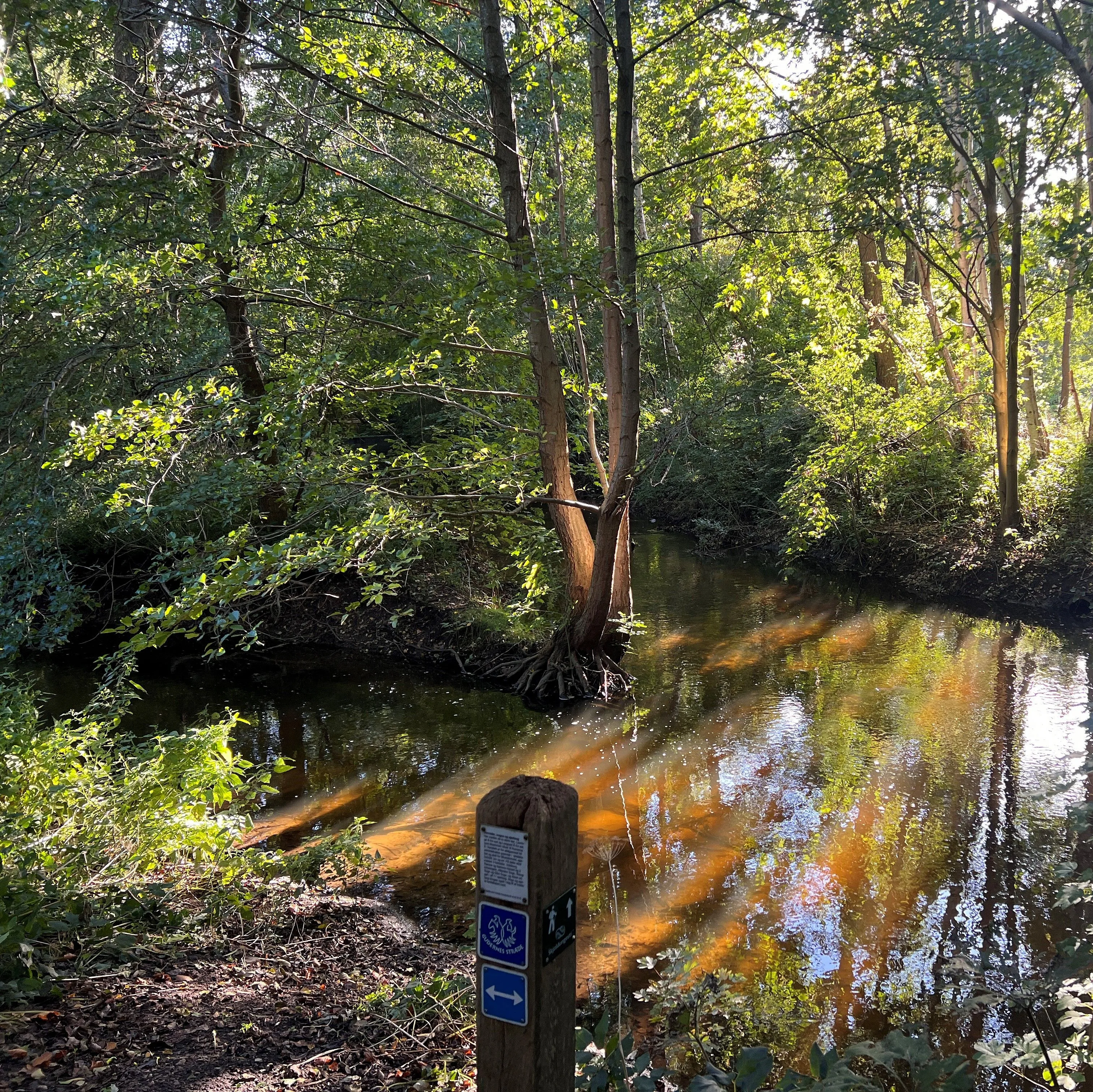 Trebunden skel i Lejre